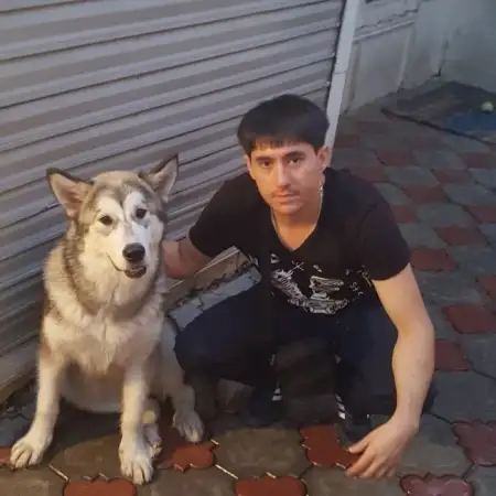 Artiom, 34Шымкент, Қазақстан 